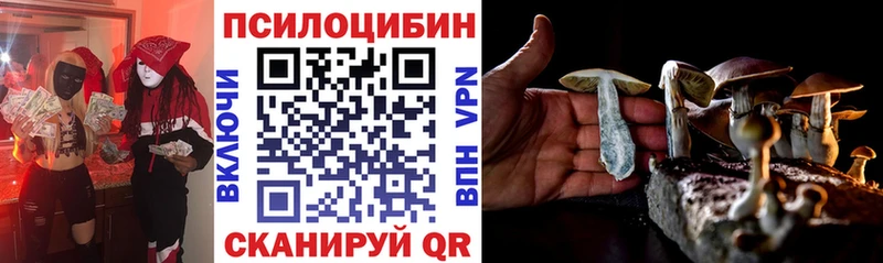 сколько стоит Ельня Галлюциногенные грибы прущие грибы